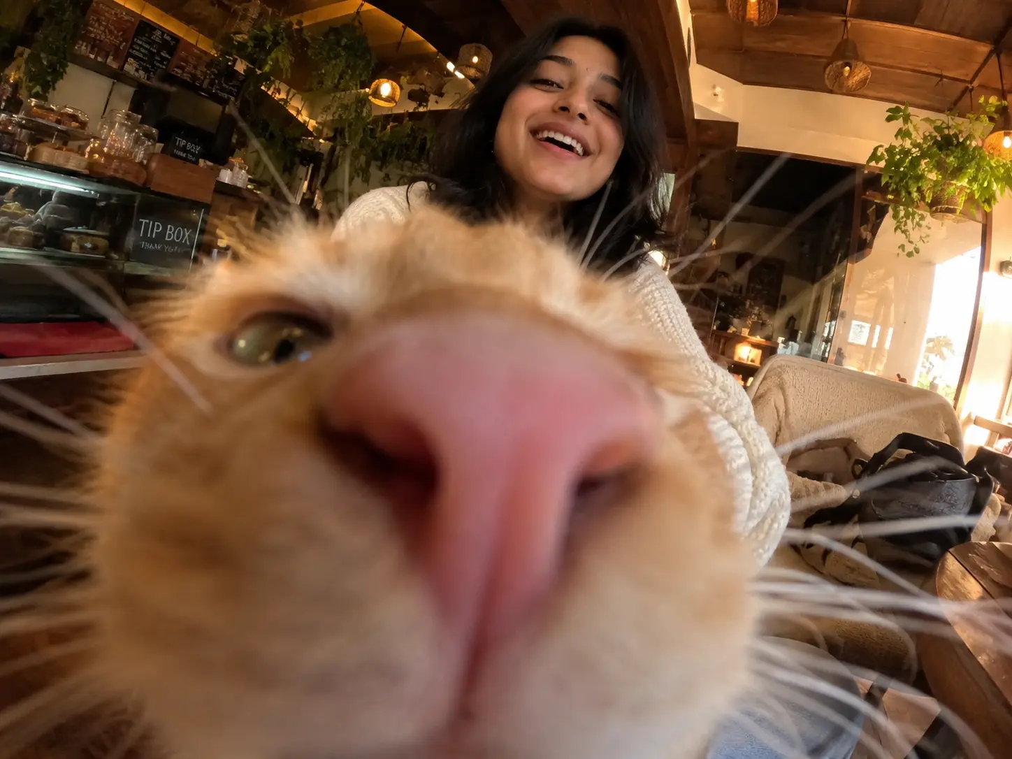 Cat Photobomb Gone Wrong | Funny 0.5x Ultra-Wide Café Selfie — ChatGPT prompt | pineprompts.com